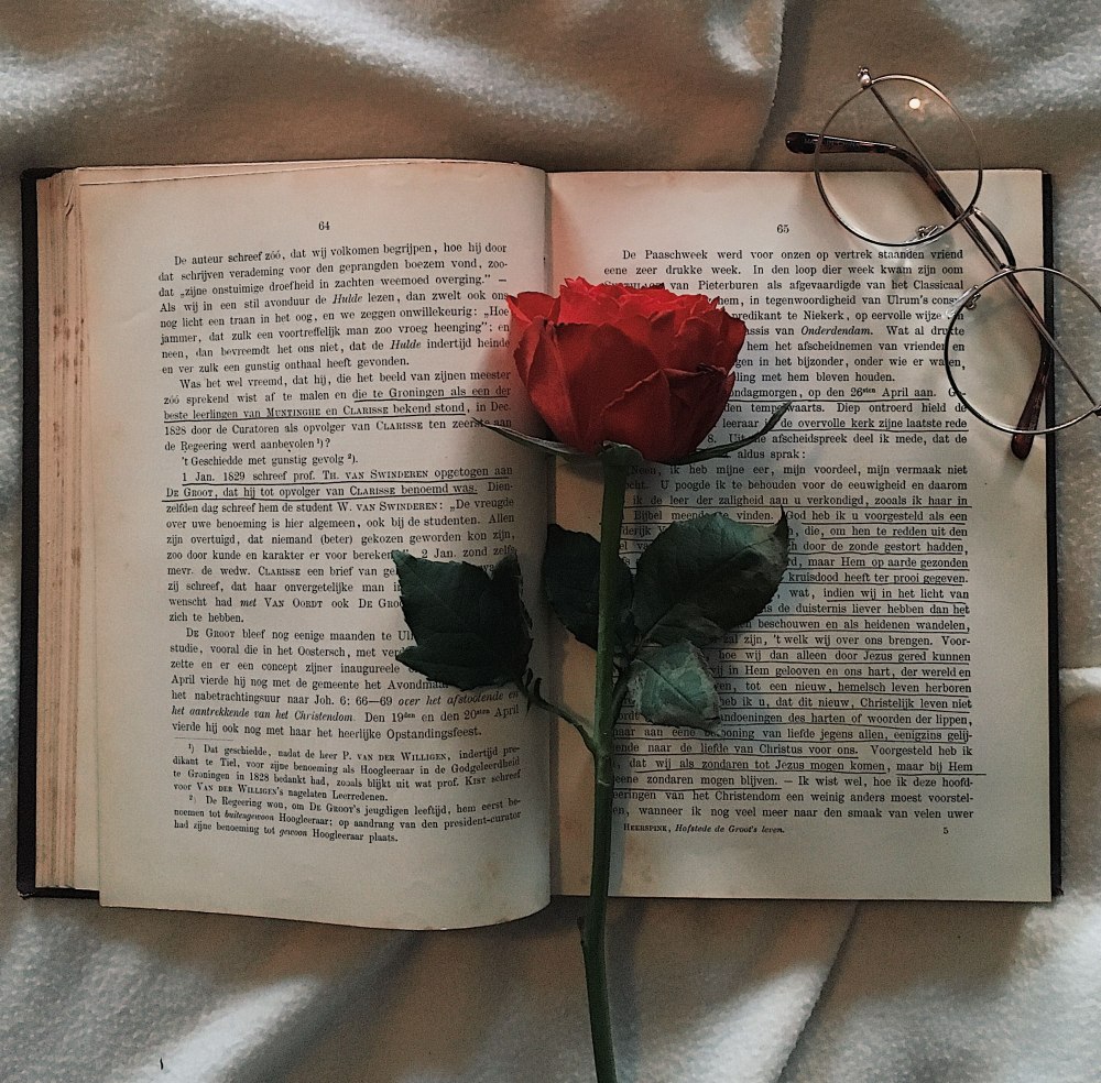 Эстетика розы и книги