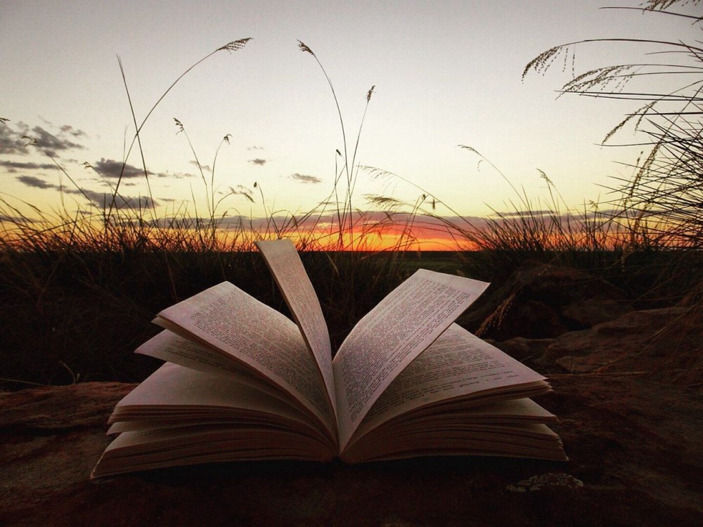 Эстетика природы и книжок
