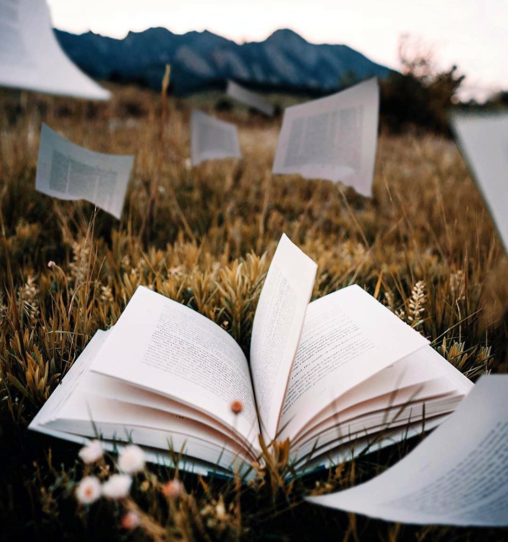Книга природа