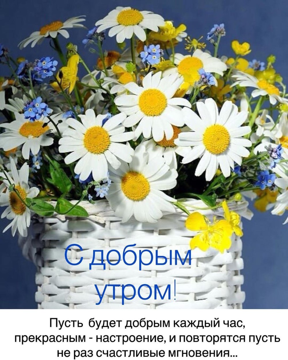 Поздравление доброе утро