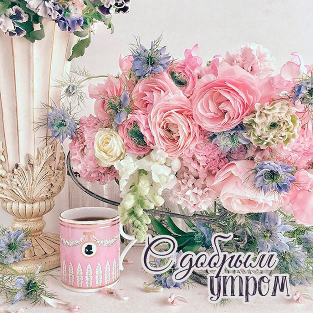 Нежного воскресного утра