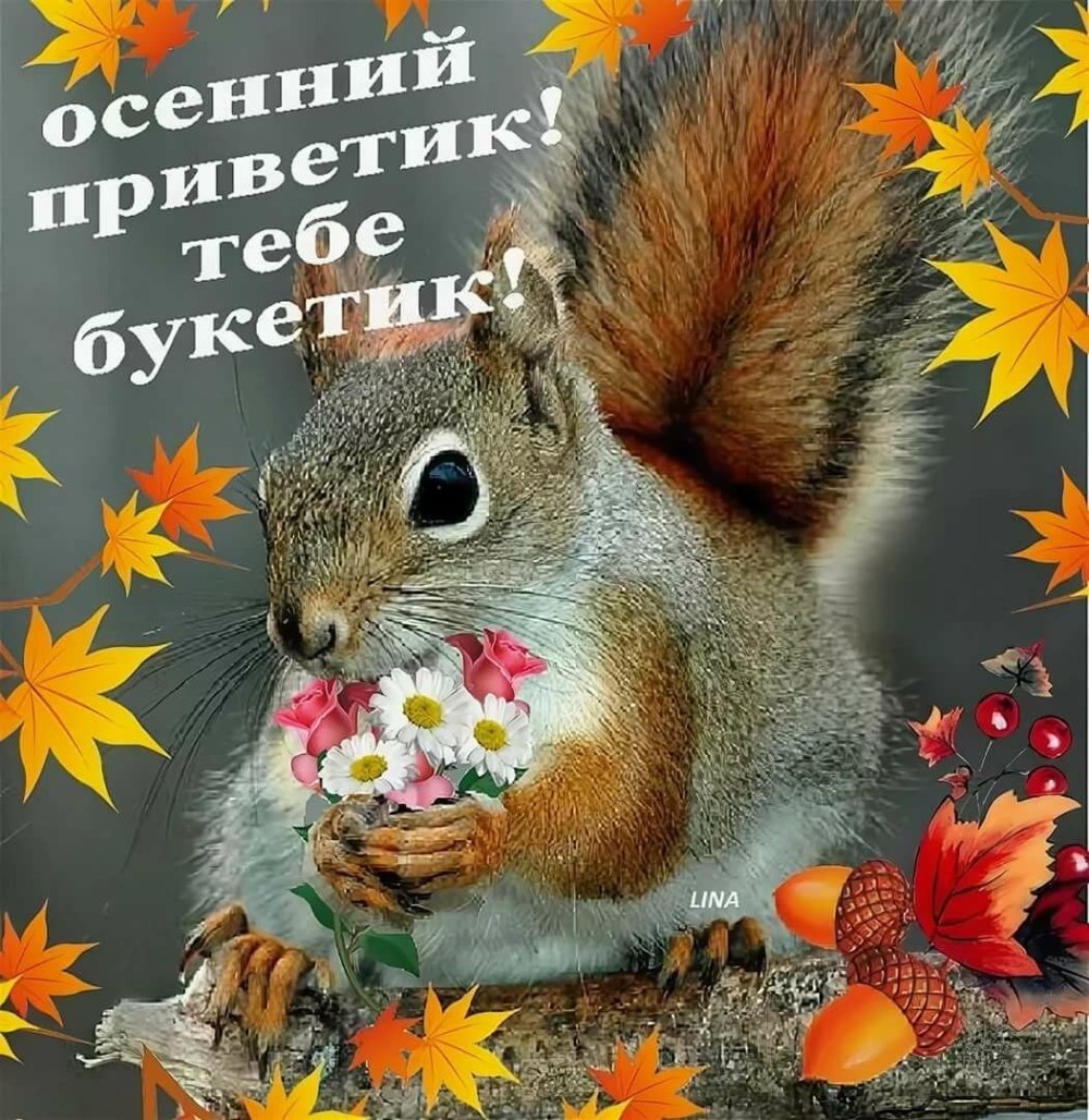 Понедельник осень