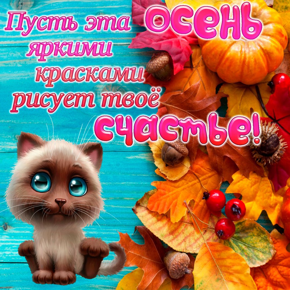 Состояние осень