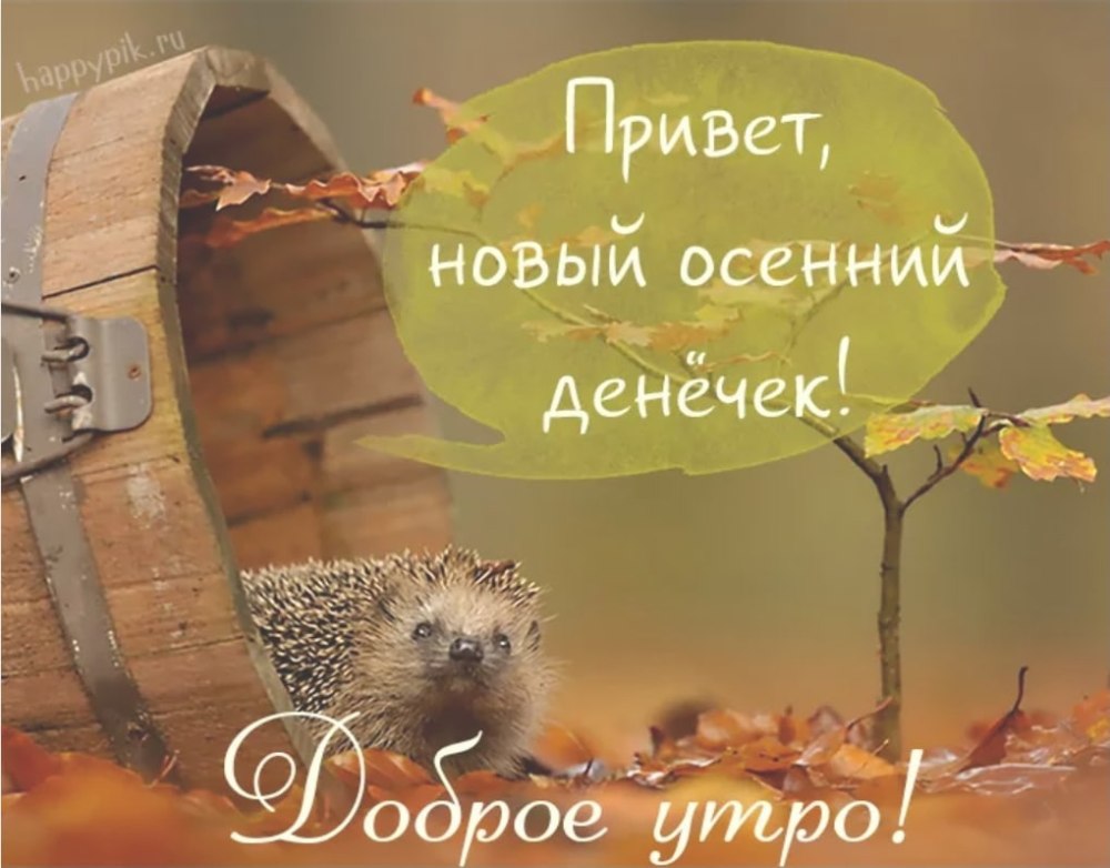 Осенний утренний привет
