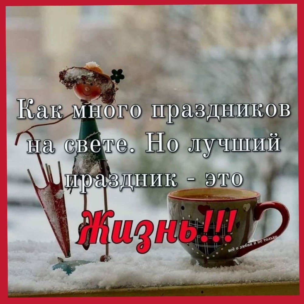 С добрым утром Подсолнухи