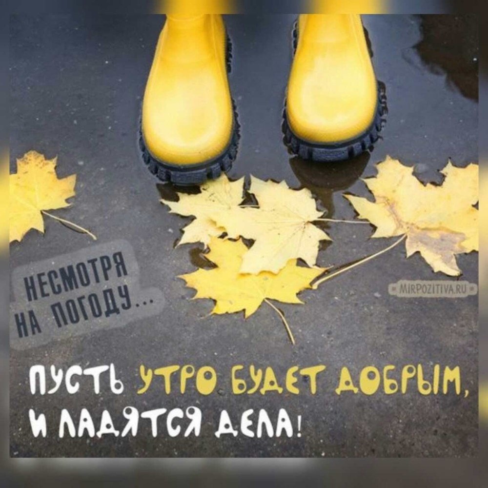 Доброе осеннее утро октября