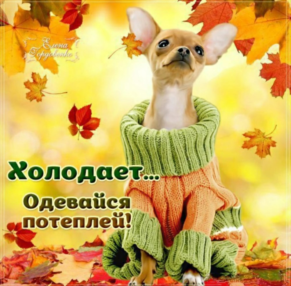 Добрые теплые осенние пожелания