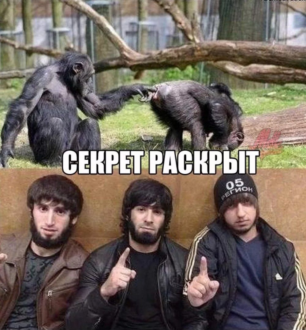 Мемы комиксы про Печкина