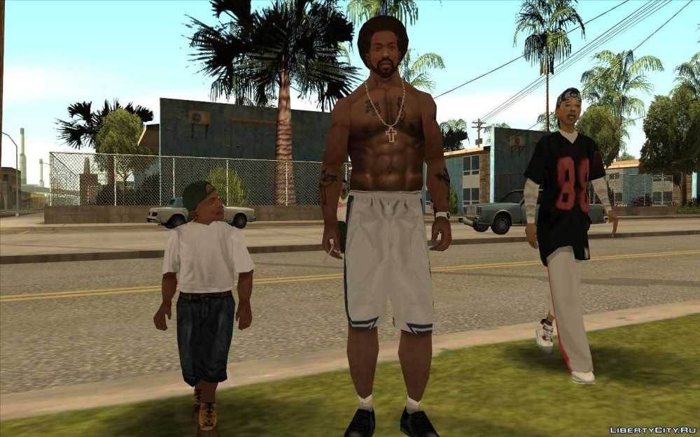 GTA 5 Carl Johnson