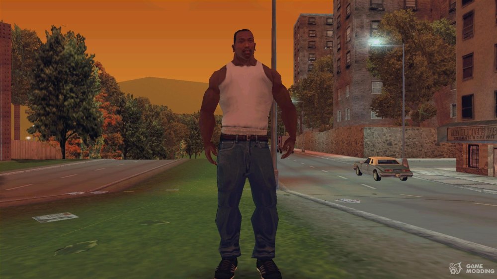 Grand Theft auto: San Andreas