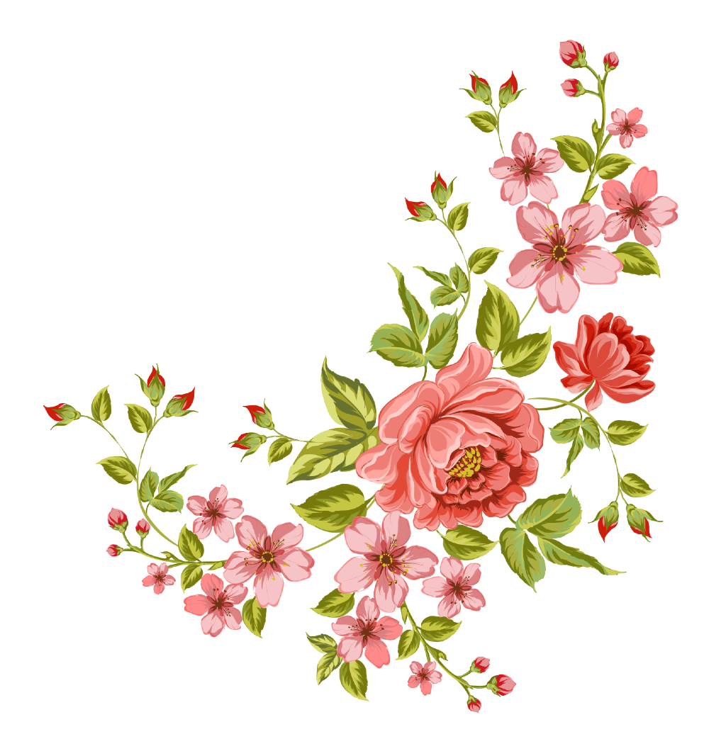 Цветы без фона