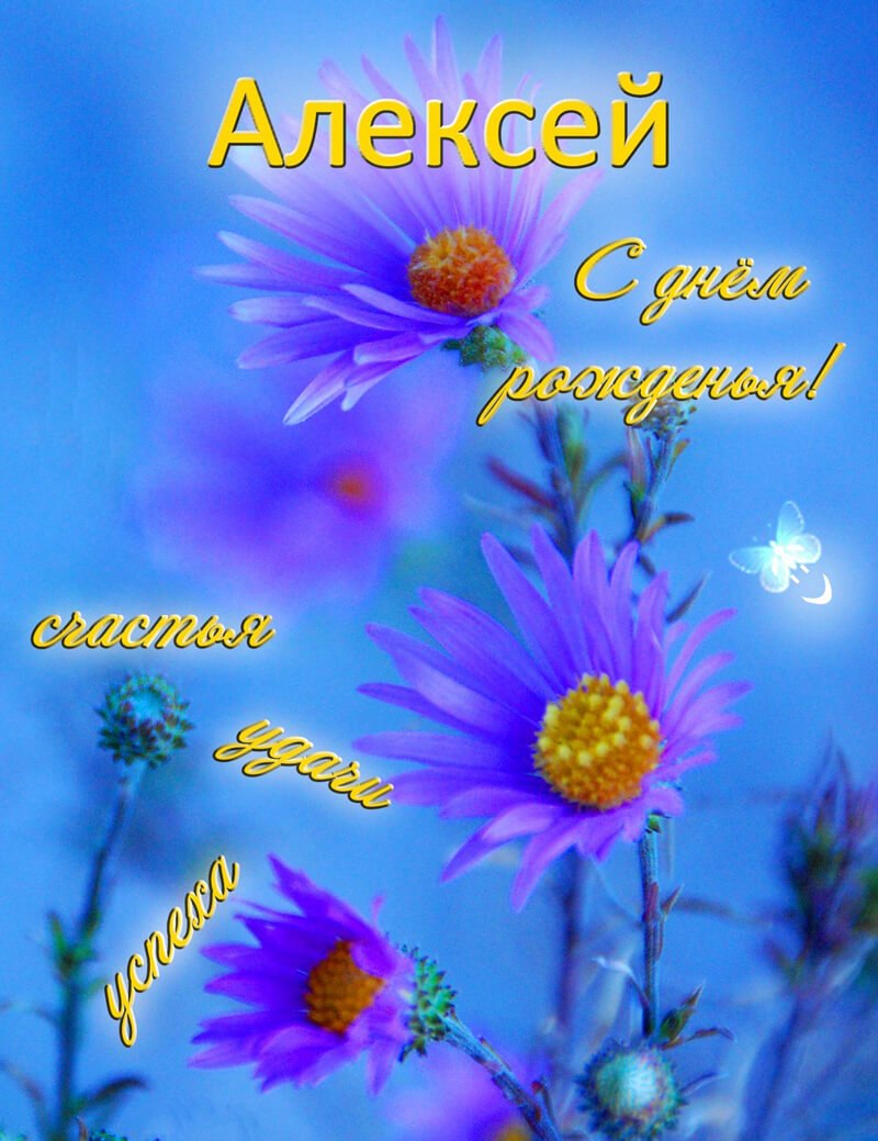 С юбилеем Алексей