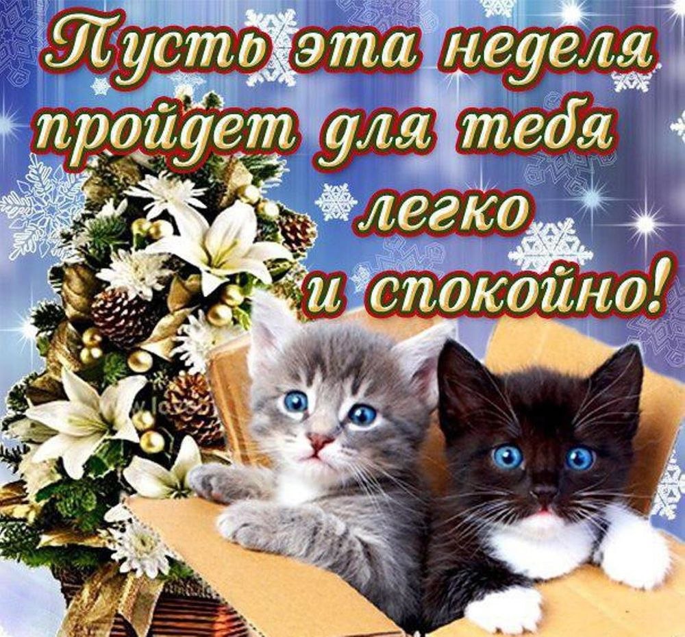 С добрым осенним утром понедельника