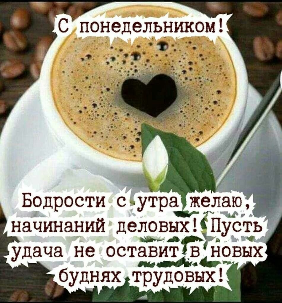 Стдньным утром понедельника