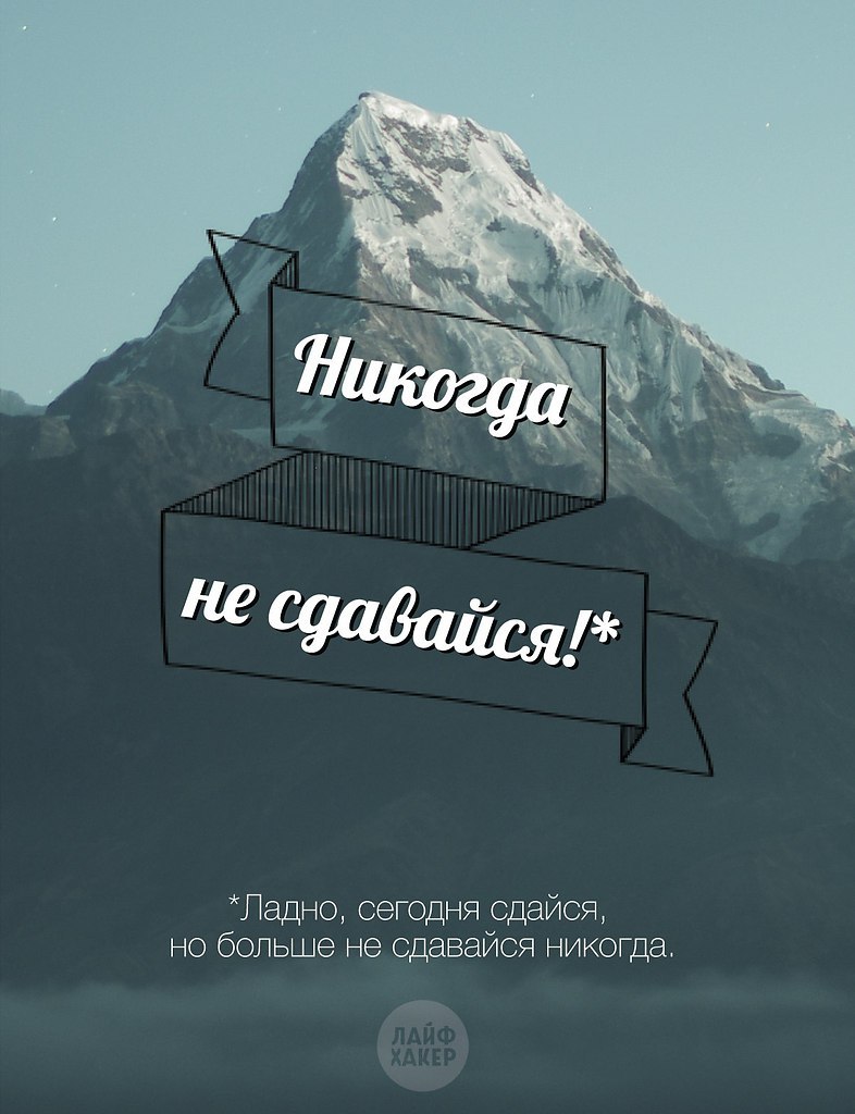 Жириновский подонки