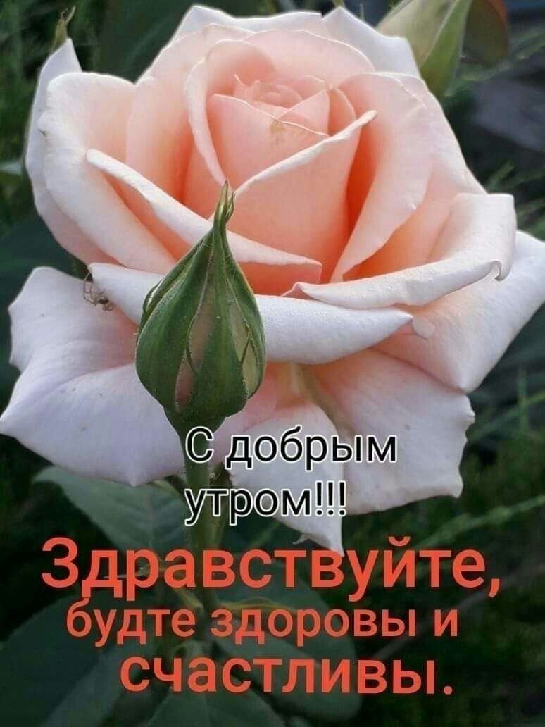 Доброе утро будьте здоровы и счастливы