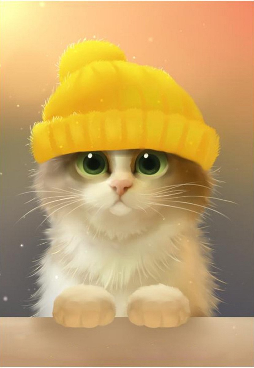 Котик в желтой шапочке