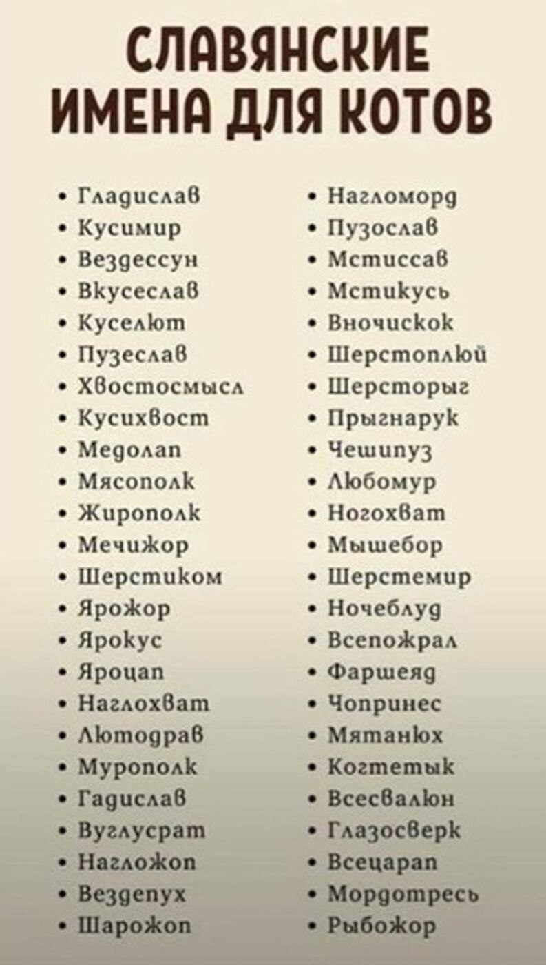 Старославянские имена для котов