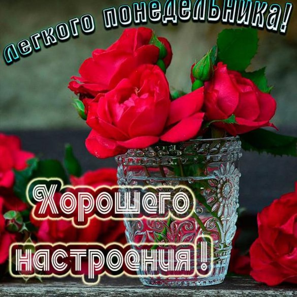 Открытки с добрым утром понедельника
