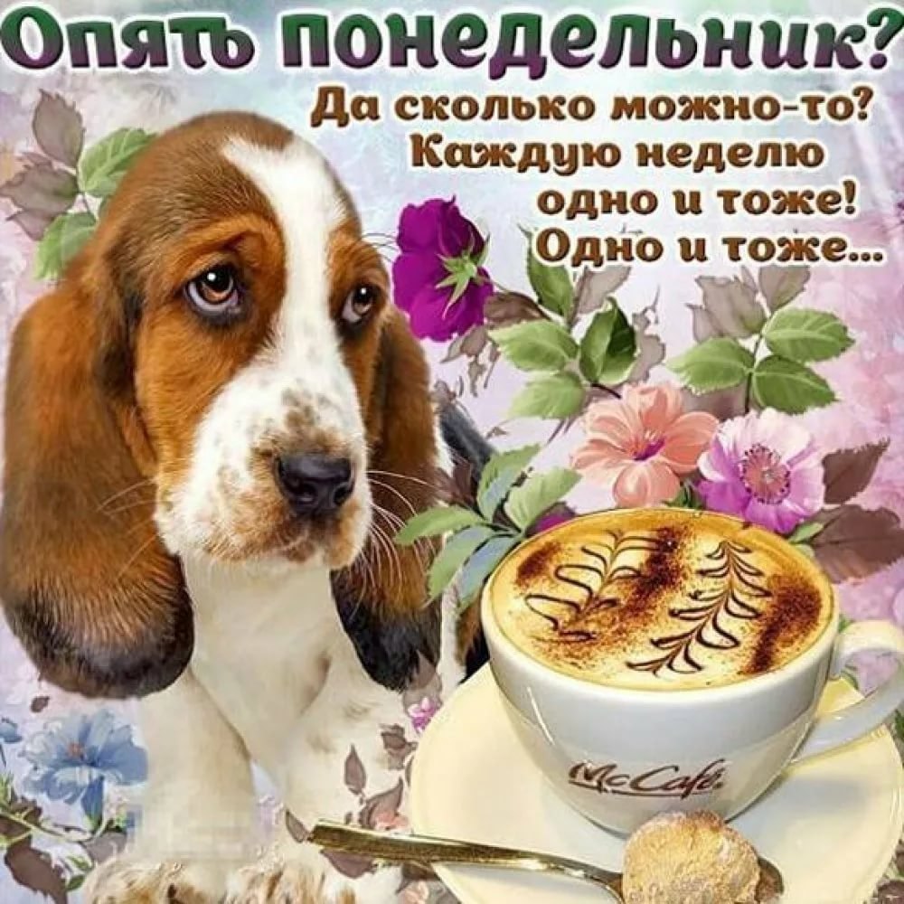 Удачного мтредельника