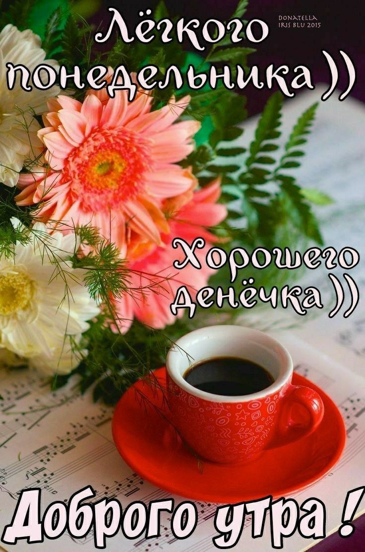 С добрым утром понедельника