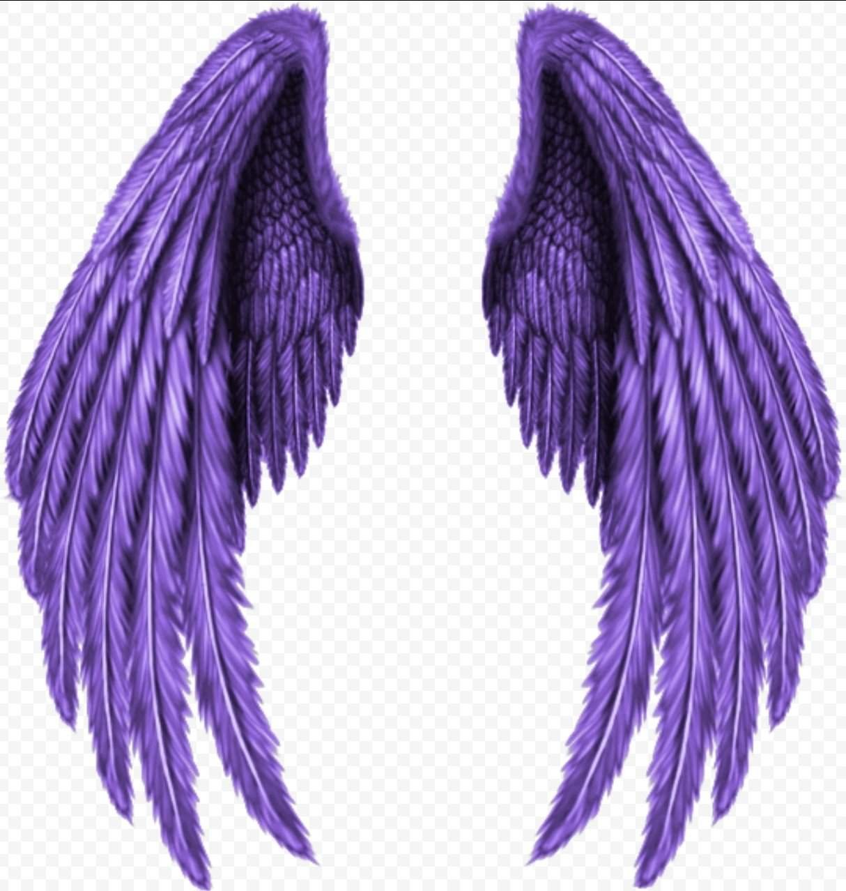 Крылья Джодаха. Фиолетовые Крылья. Красивые Крылья. Ангельские Крылья.