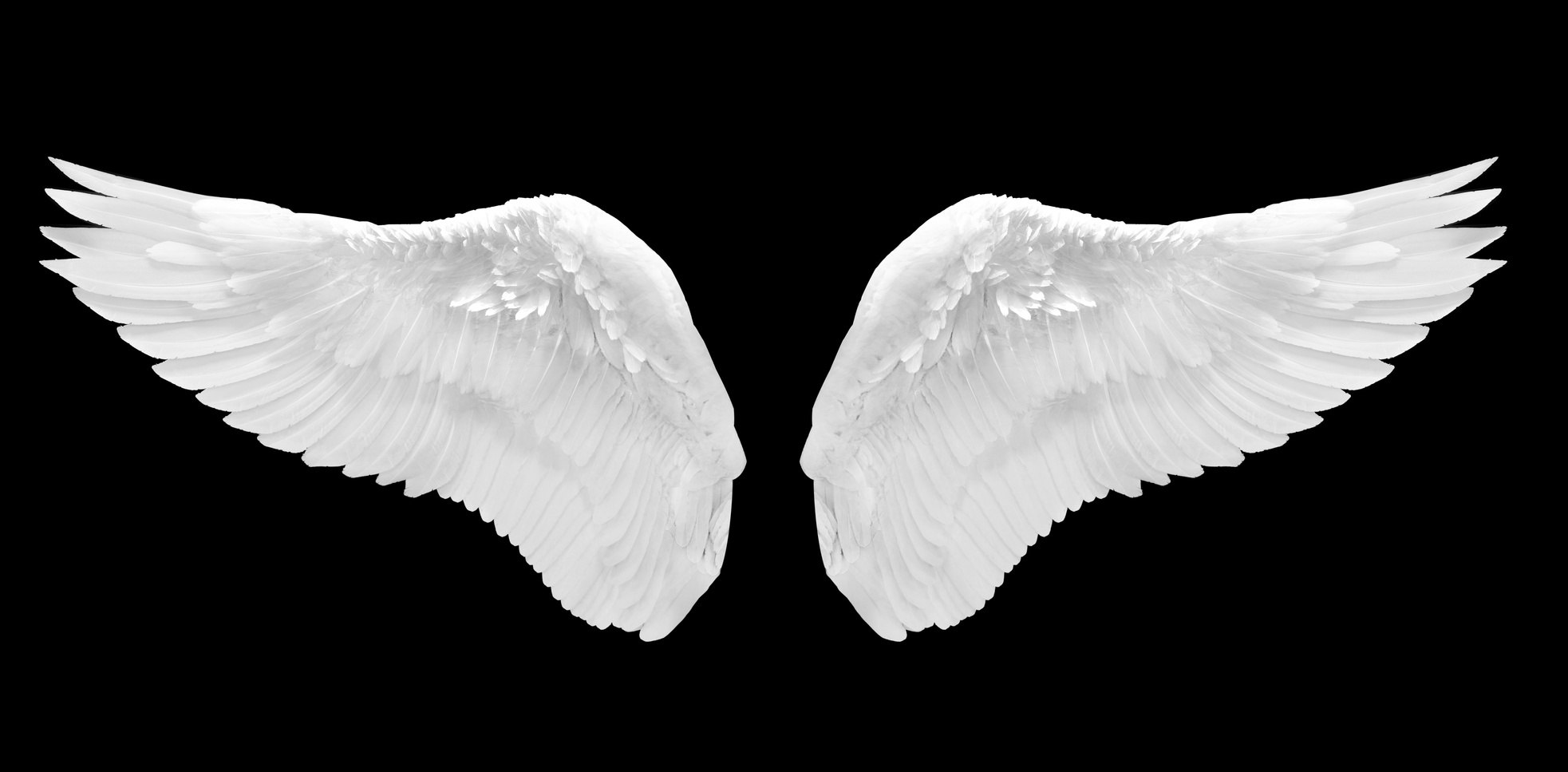 2 белых крыла текст. Крылья ангела. Белые Крылья. Крылья на черном фоне. Крылья ангела на черном фоне.