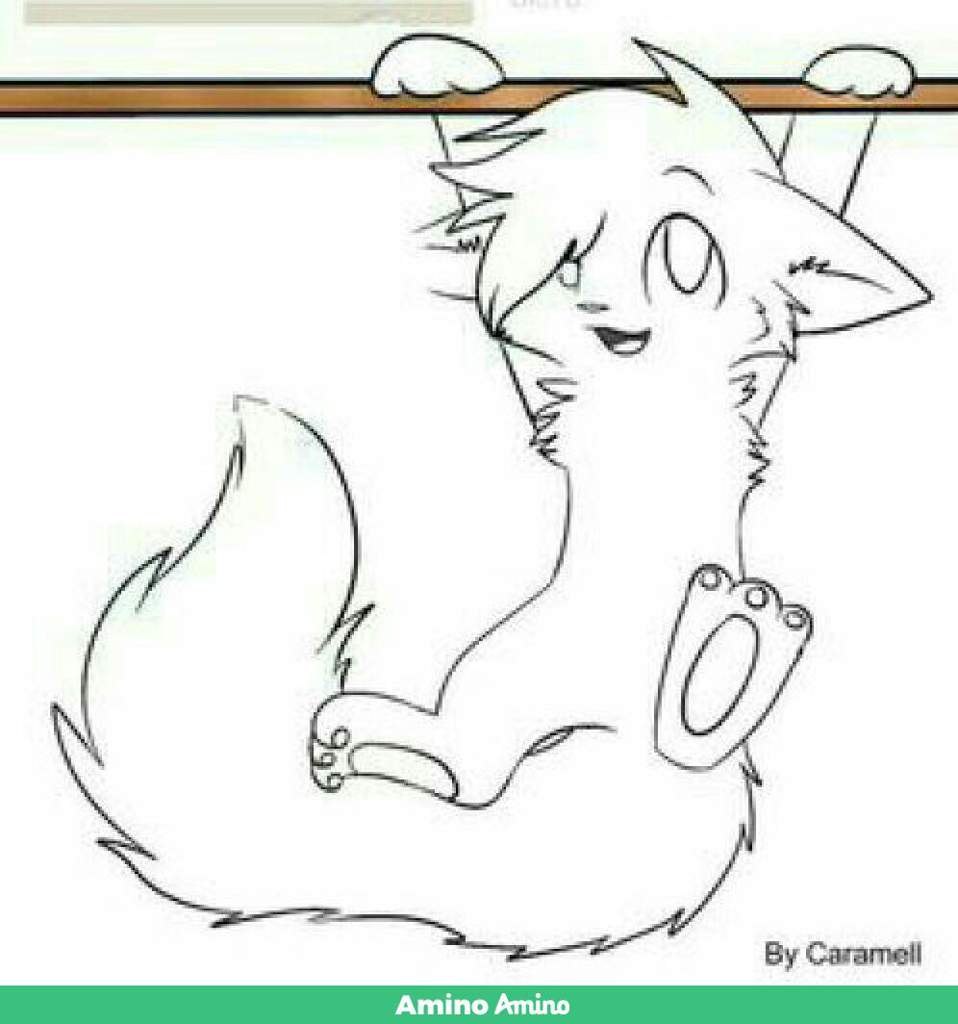 Коты Воители команда лайны