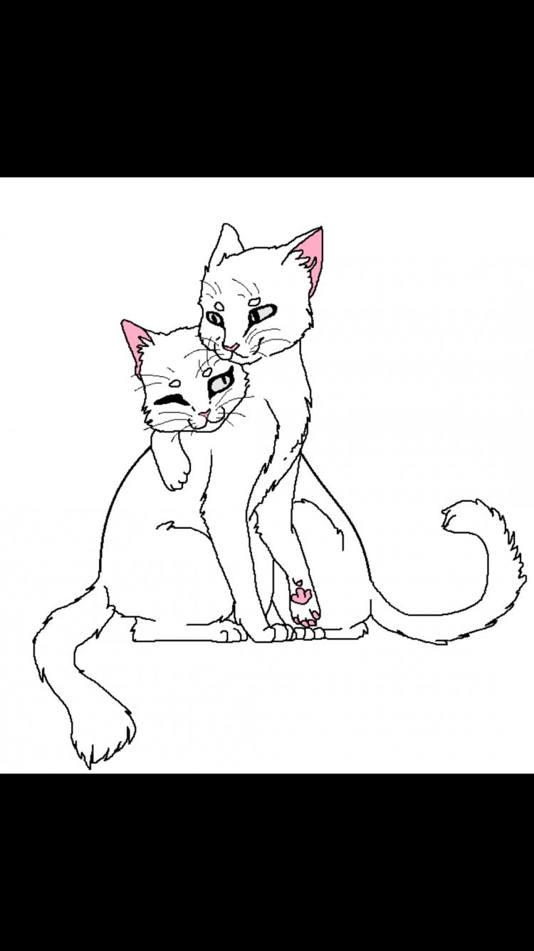 Лайн коты Воители сестры