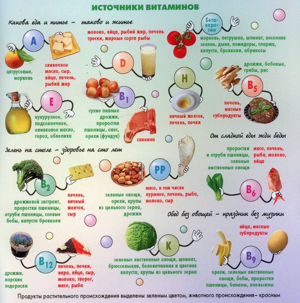 Овощи и фрукты полезные продукты