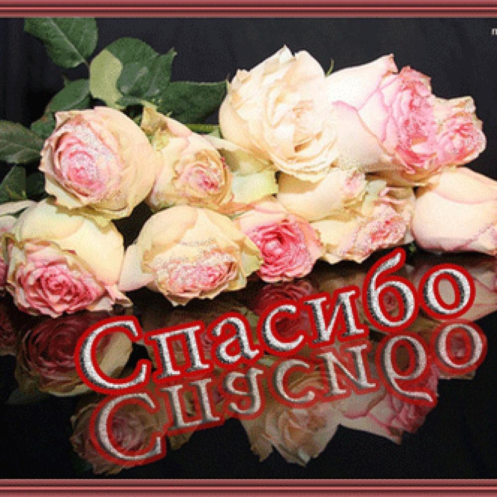 Открытки спасибо большое