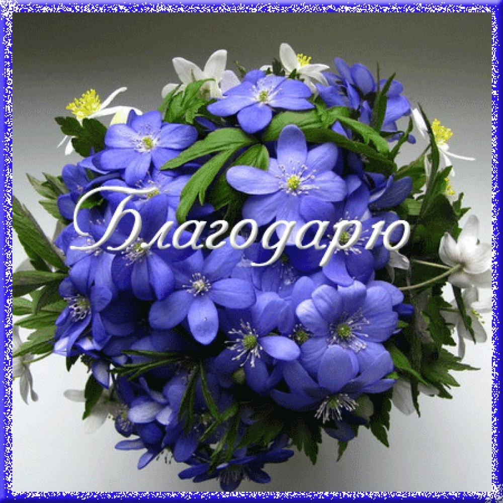 Благодарность цветы