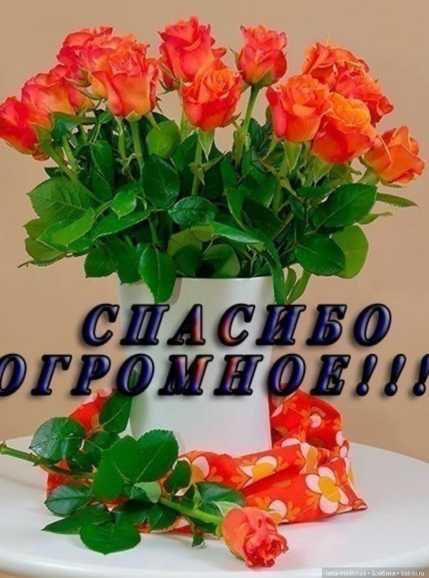 Открытки с благодарностью