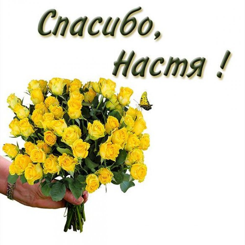 Спасибо Настя