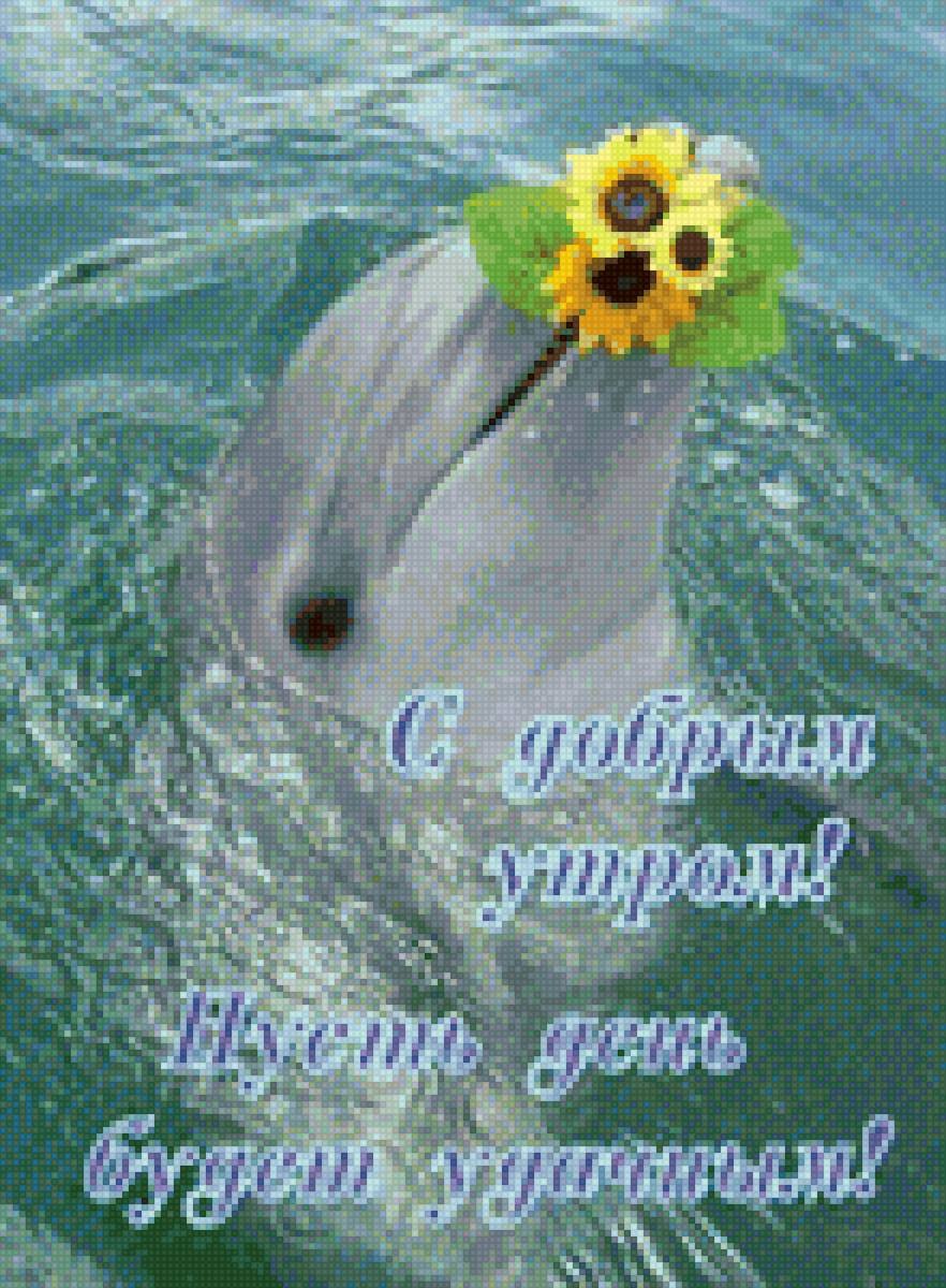 Доброе утро