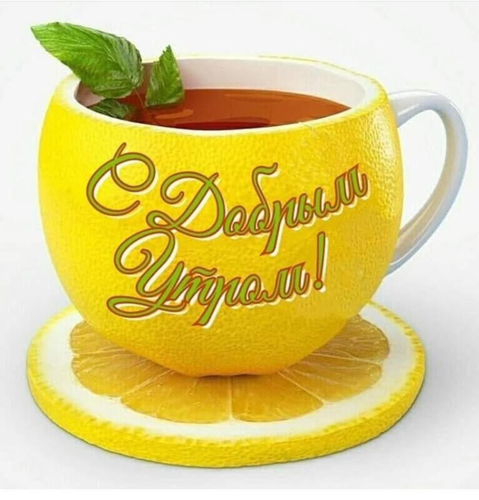 Красивые цветы