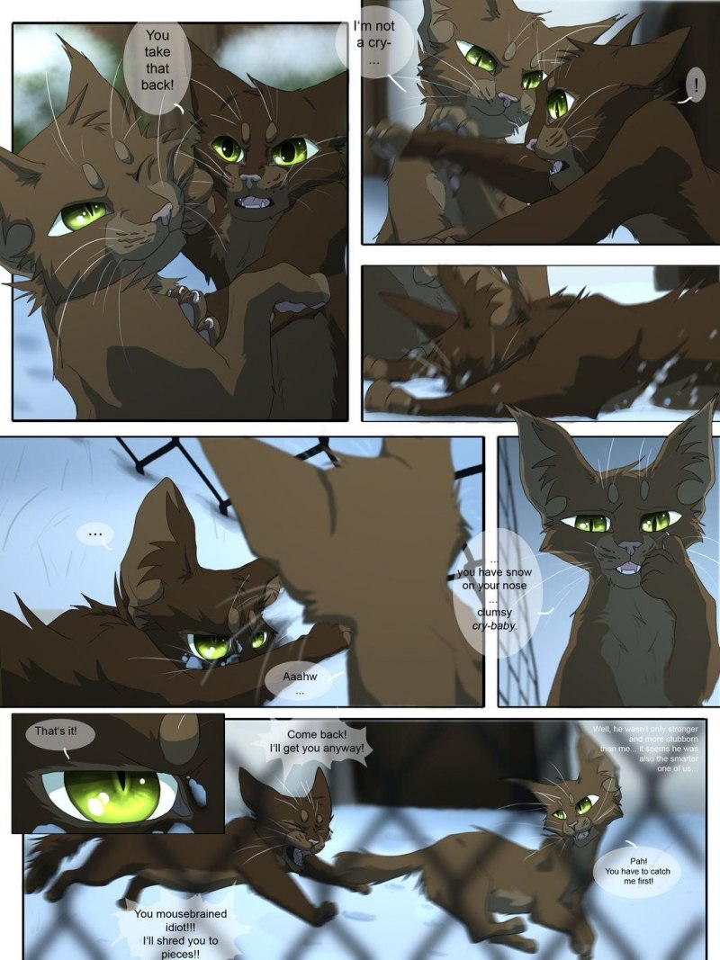 Коты Воители Кровоцапка