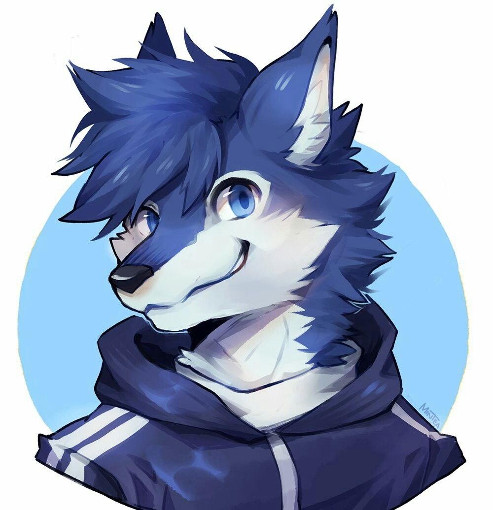 Kai фурри