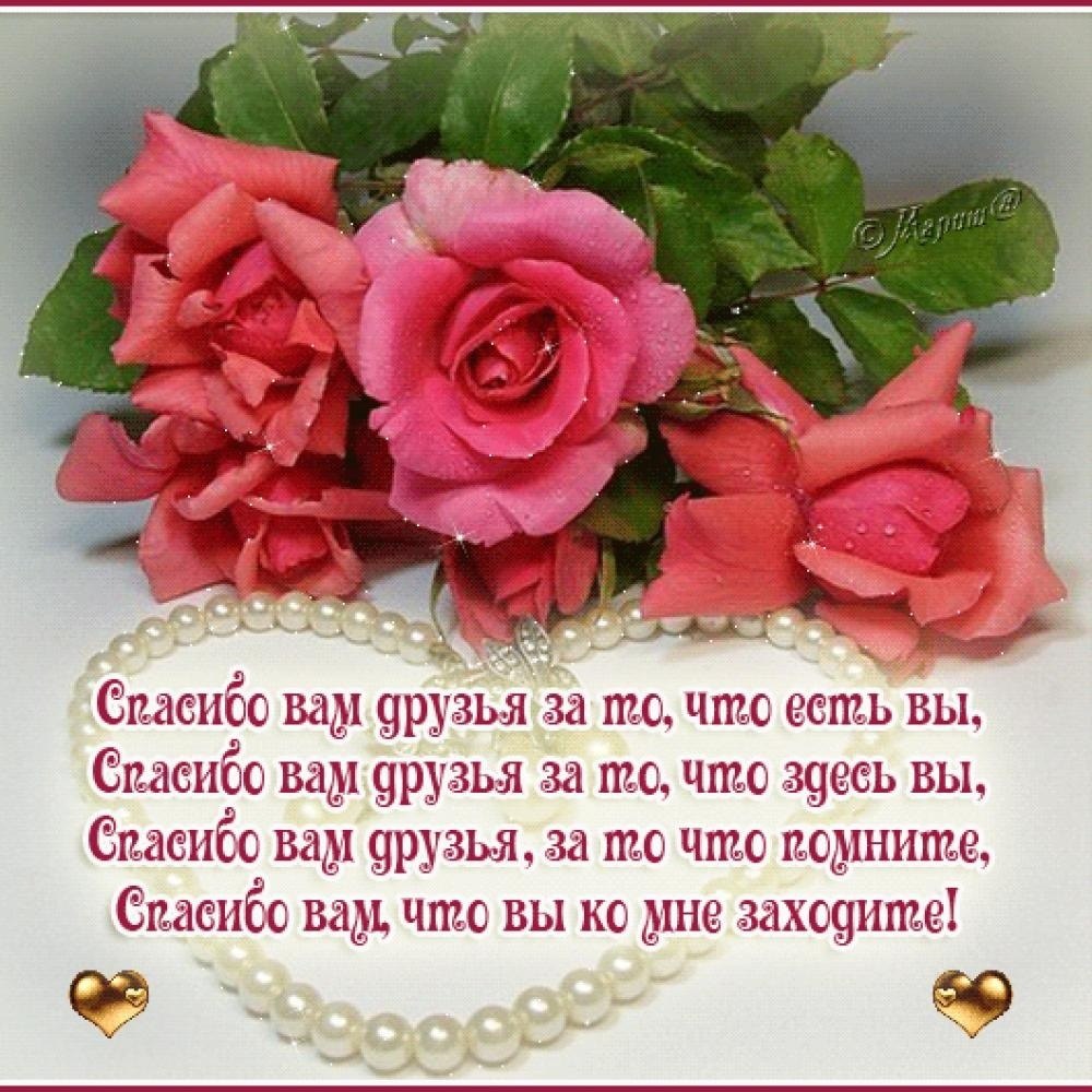 Слова благодарности коллегам