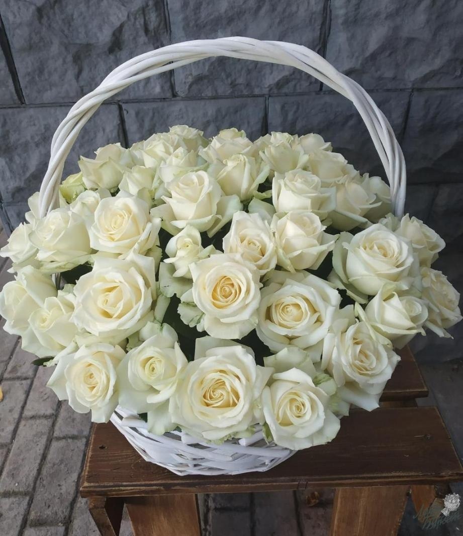 51 Роза Аваланж