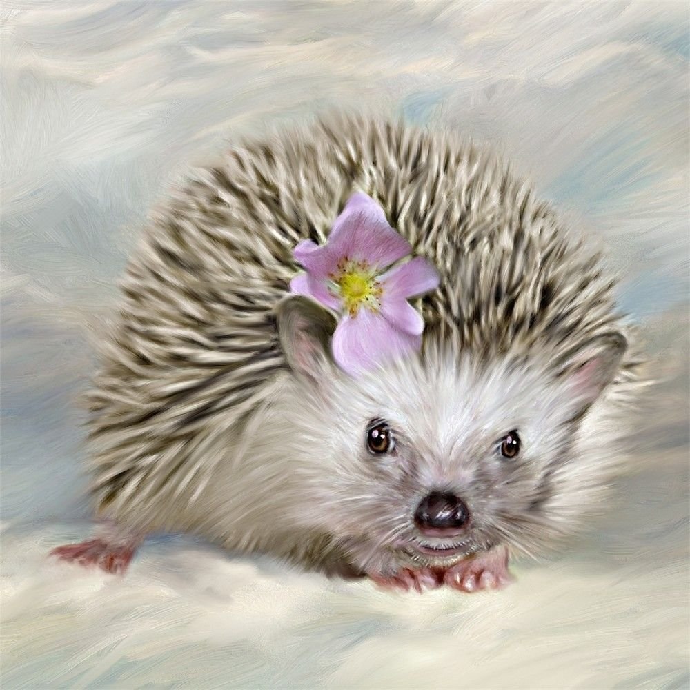 Картина еж