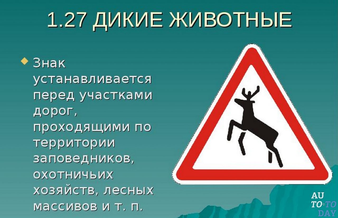 Что означает знак оленя. Знак 1.27. Дикие животные. Дорожный знак осторожно звери. Предупреждающие знаки Дикие животные. Дорожный знак Дикие звери.