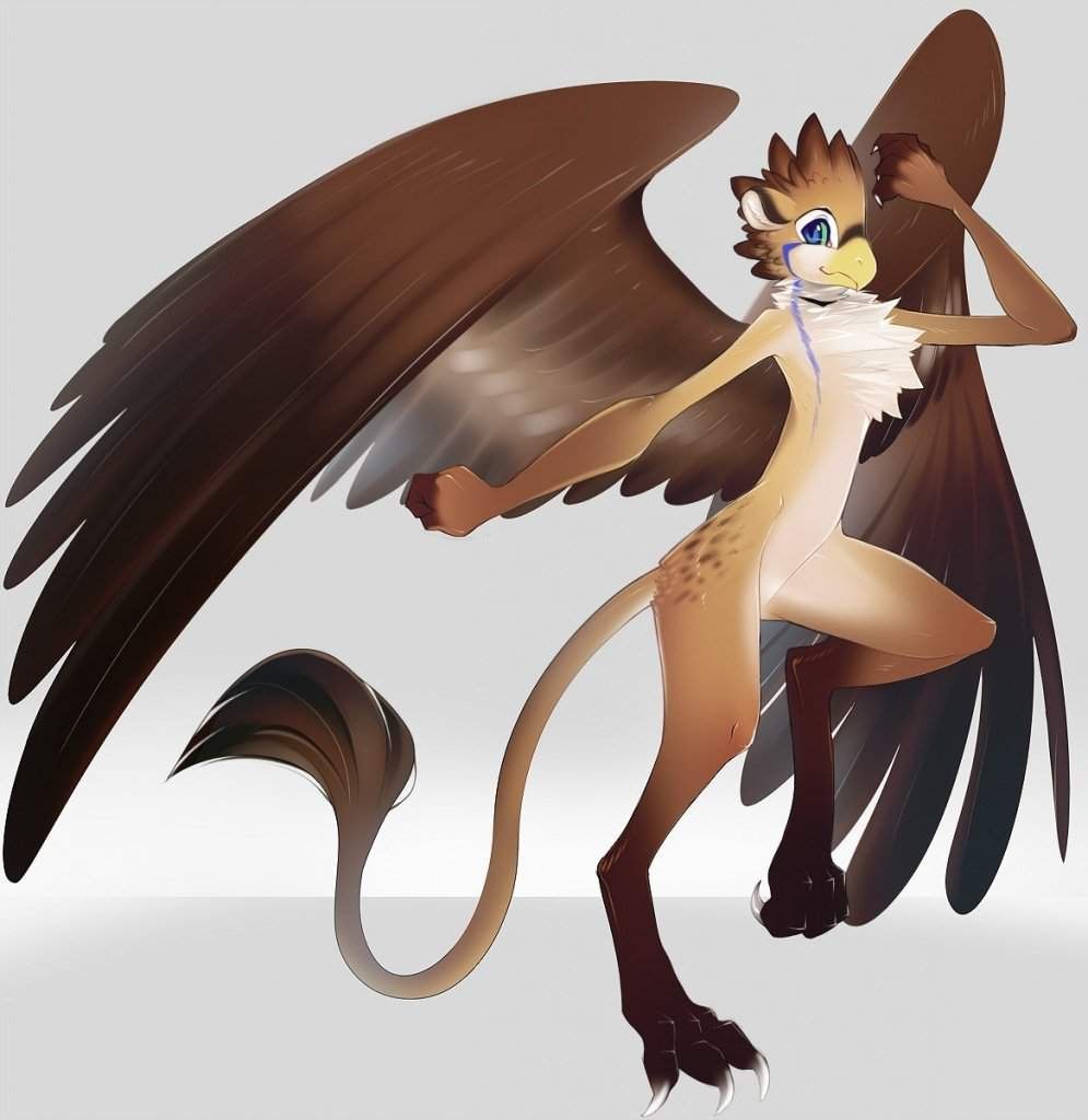 TF TG anthro bat