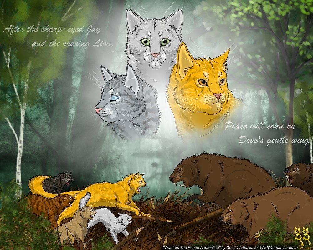 Heathertail коты Воители