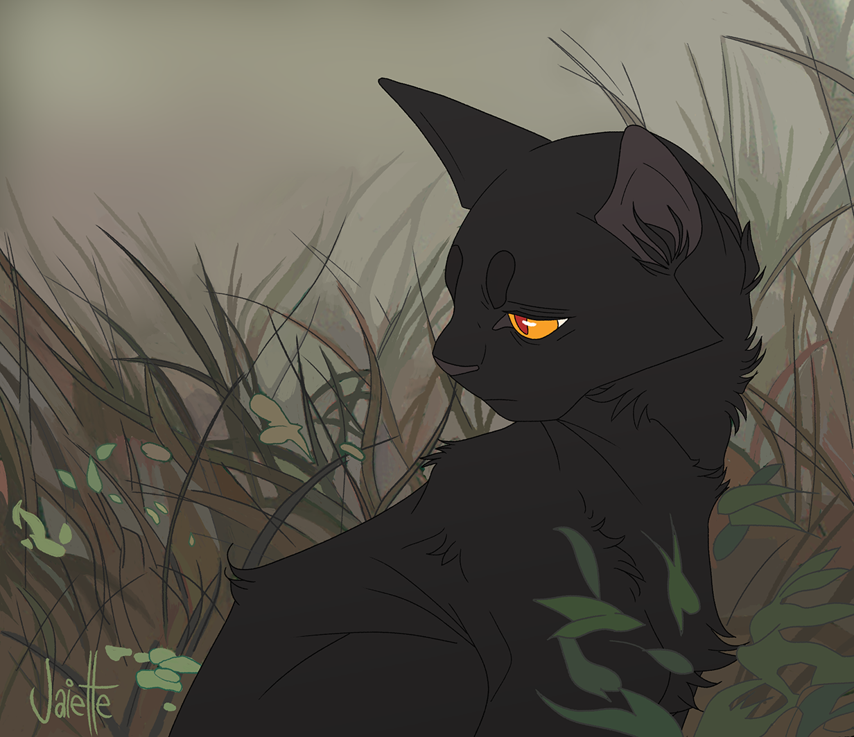 Warrior cats art. Коты Воители Остролистая. Коты Воители Грач и Сумеречница. Коты Воители Сумеречница. Коты Воители ветерок и Остролистая.