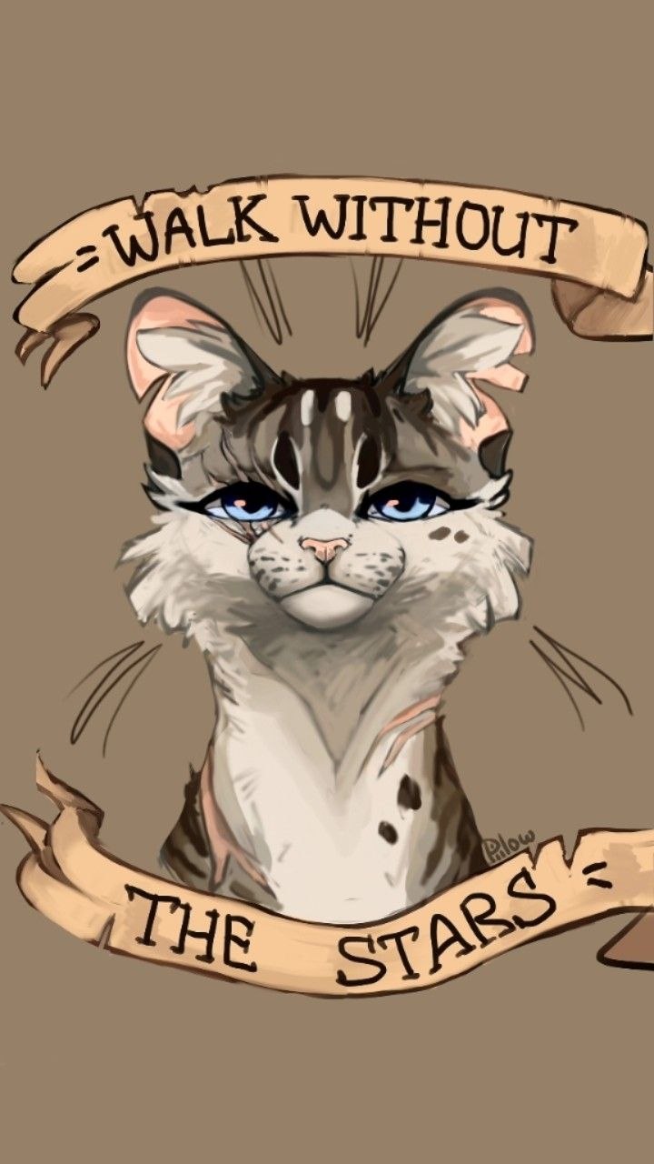 GRAYPILLOW коты Воители