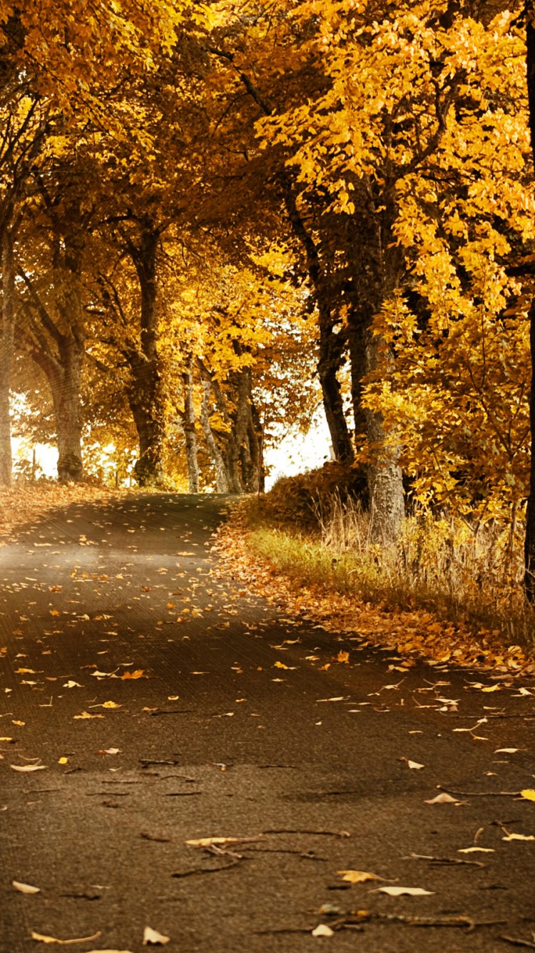 Сентябрь природа