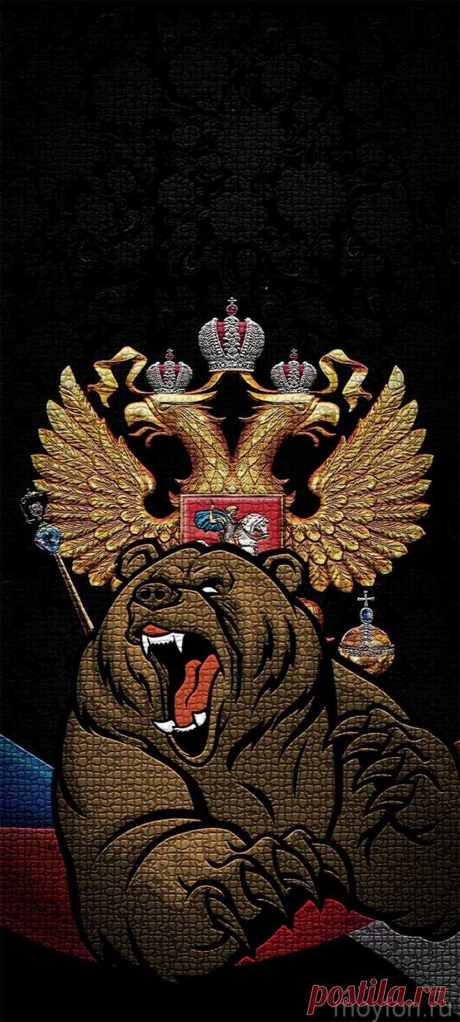 Adidas logo 2022