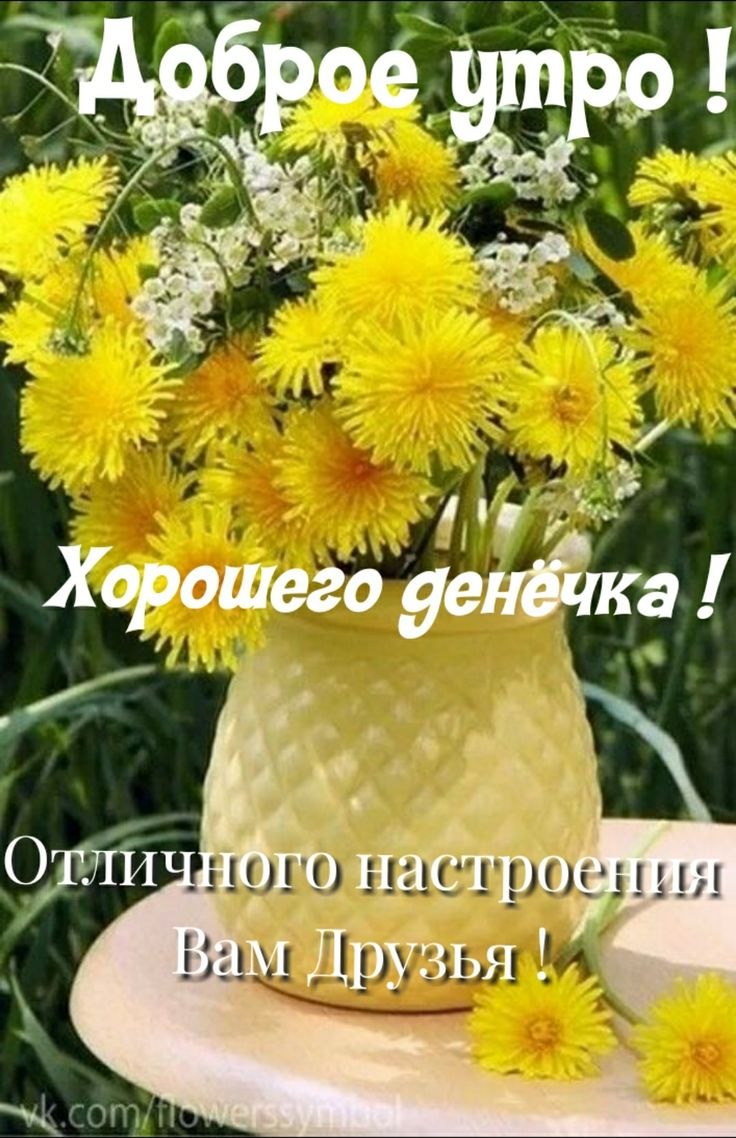 Желтые красивые цветы с добрым утром