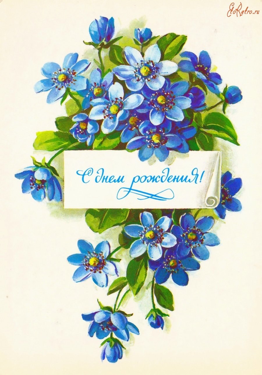 С днем рождения